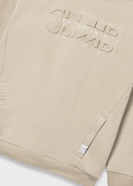 Sudadera con capucha chico