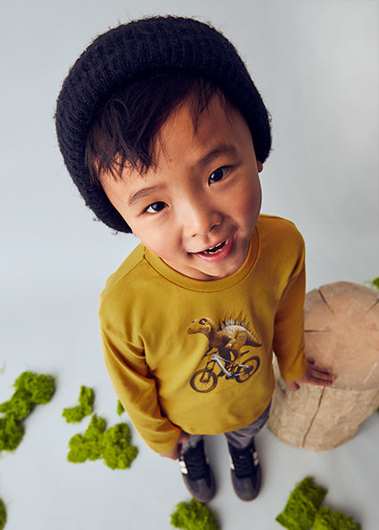 Playera dinosaurio niño