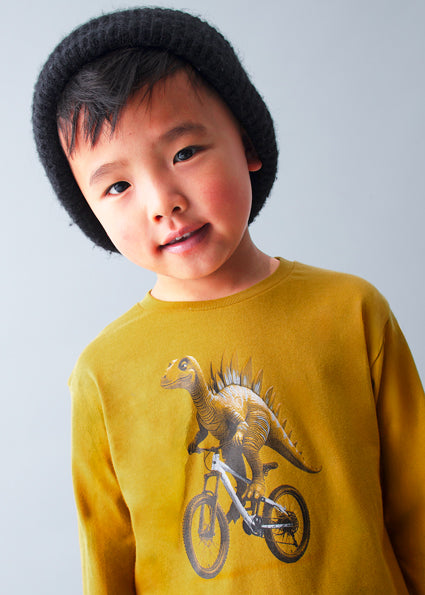 Playera dinosaurio niño