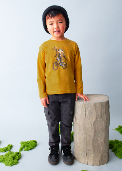Playera dinosaurio niño