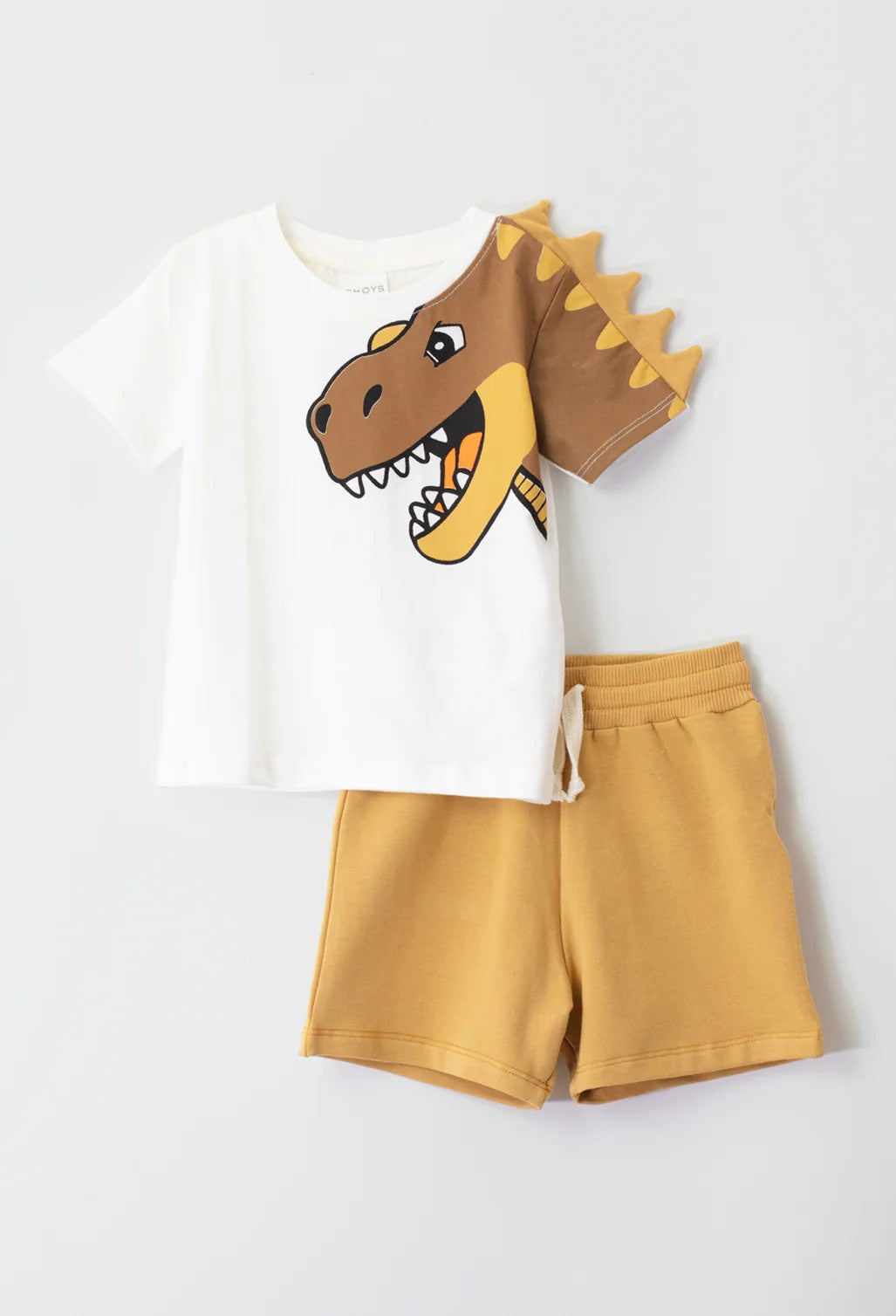 Conjunto de short para niño